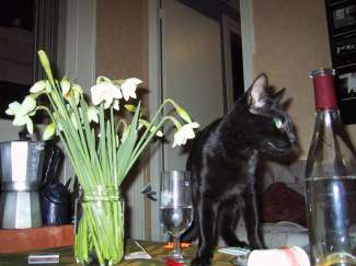 IMG_0187.JPG